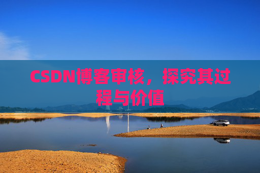 CSDN博客审核，探究其过程与价值
